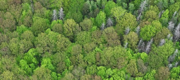 Grundstück in Saale-Holzland, Germany, Nr. 134874 4