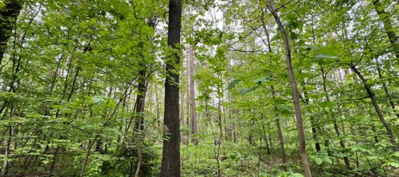 Grundstück in Saale-Holzland, Germany, Nr. 134874 14