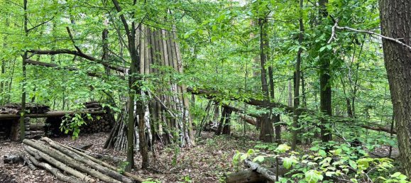 Grundstück in Saale-Holzland, Germany, Nr. 134874 13
