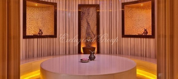 فيلا 1+1 في Bodrum, Turkey رقم 28811 9