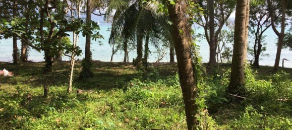 Земельный участок 56000м² в Пхукет, Таиланд № 71954 2