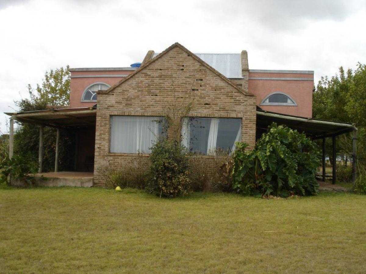  Farm in Maldonado, Uruguay No. 14602
