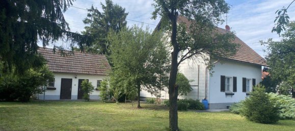 Casa de 5 habitaciónes en Marchtrenk, Austria No. 148375 6