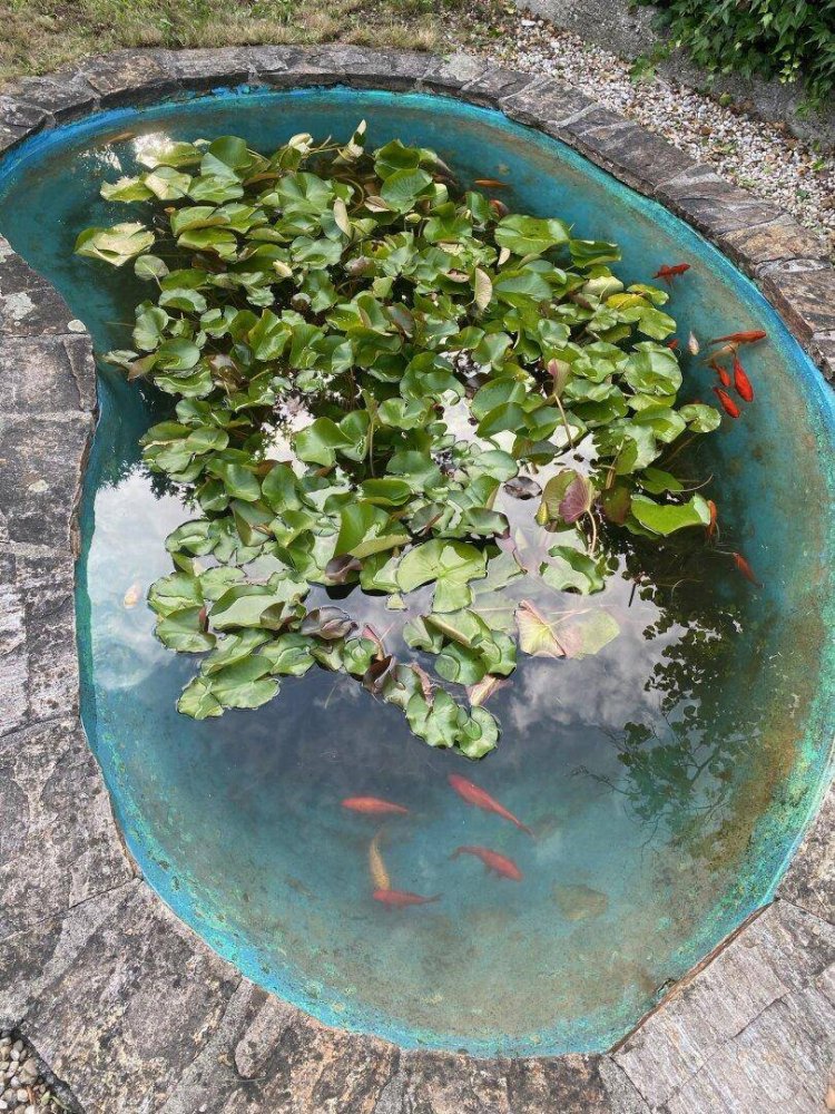 Casa de 5 habitaciónes en Marchtrenk, Austria No. 148375