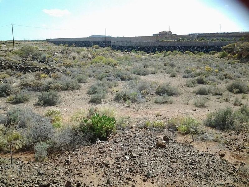 Grundstück in Granadilla de Abona, Spain 3813m², Nr. 230214