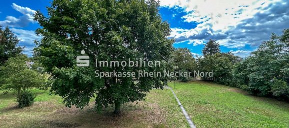 Studio in Rhein-Neckar-Kreis, Germany, Nr. 313574 9