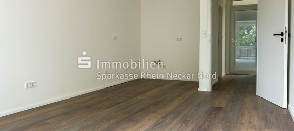 Studio in Rhein-Neckar-Kreis, Germany, Nr. 313574 6