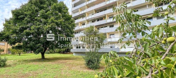 Studio in Rhein-Neckar-Kreis, Germany, Nr. 313574 4