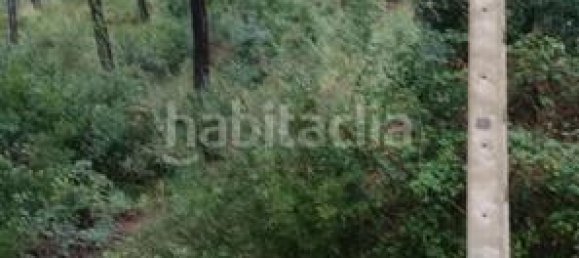  قطعة أرض في Barcelona, Spain 800متر مربع رقم 158831 3