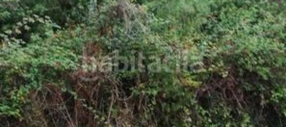  قطعة أرض في Barcelona, Spain 800متر مربع رقم 158831 4