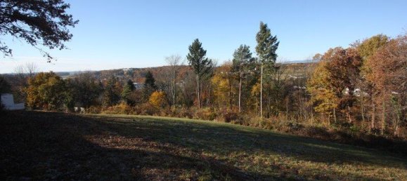 قطعة أرض في Bad Tatzmannsdorf, Austria 1507متر مربع رقم 61461 4