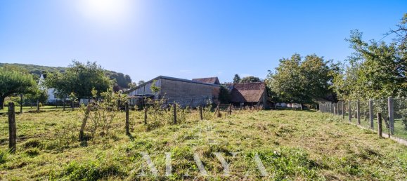 5 chambres Maison à Haut-Rhin, France No. 336749 20