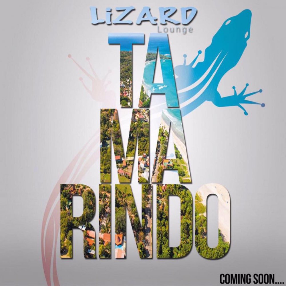 180m² Cafe / restaurant in Tamarindo, Costa Rica No. 1279