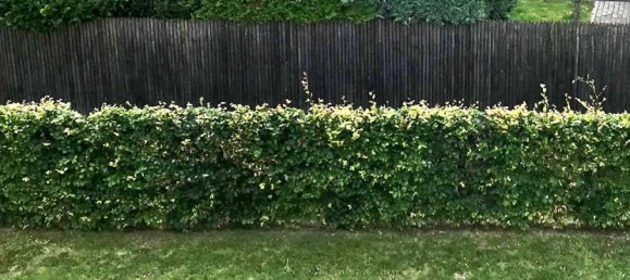 Квартира с 2 спальнями в Ганновер, Германия № 263685 4