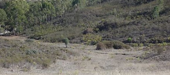 27250m² Land in Portimao, Portugal No. 36812 18