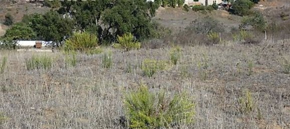 27250m² Land in Portimao, Portugal No. 36812 20