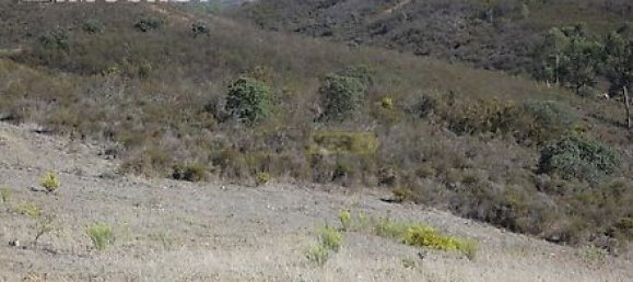 27250m² Land in Portimao, Portugal No. 36812 19