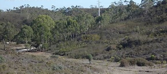 27250m² Land in Portimao, Portugal No. 36812 23