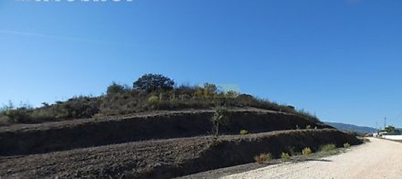 27250m² Land in Portimao, Portugal No. 36812 29