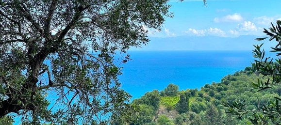 4337m² Land in Corfu, Greece No. 93036 5