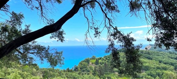 4337m² Land in Corfu, Greece No. 93036 13
