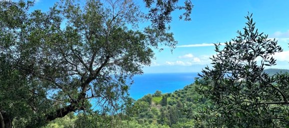 4337m² Land in Corfu, Greece No. 93036 4