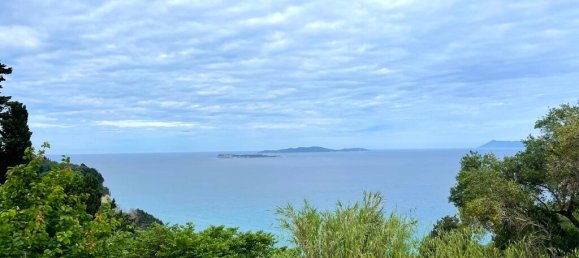 4337m² Land in Corfu, Greece No. 93036 15