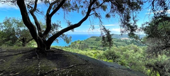 4337m² Land in Corfu, Greece No. 93036 3