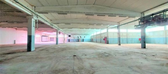 Almacén en Cossato, Italy 3190 m² No. 376298 18