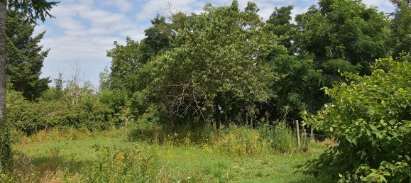 Casa de 6 dormitorios en Puy-de-Dome, France No. 302735 3