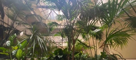 Escritório em Porto, Portugal 55 m² N.º 189888 6