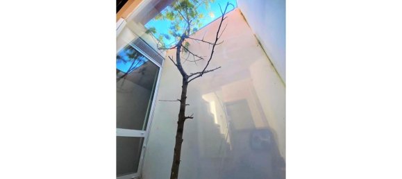 4 Schlafzimmer Haus in Cascais, Portugal, Nr. 173587 15