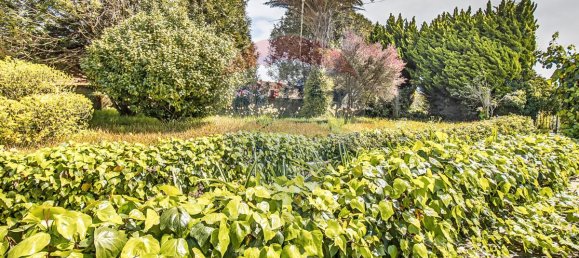 9 غرف نوم منزل في Vila do Conde, Portugal رقم 54264 9