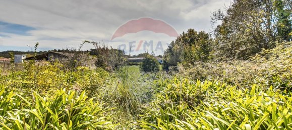 9 غرف نوم منزل في Vila do Conde, Portugal رقم 54264 5