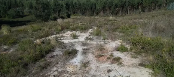 Terrain à Torres Vedras, Portugal No. 68322 3