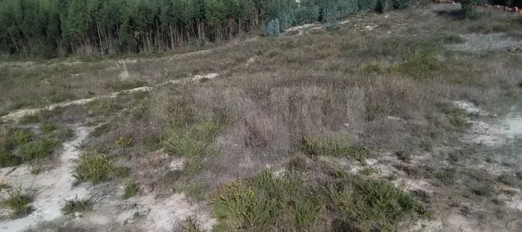 Terrain à Torres Vedras, Portugal No. 68322 4