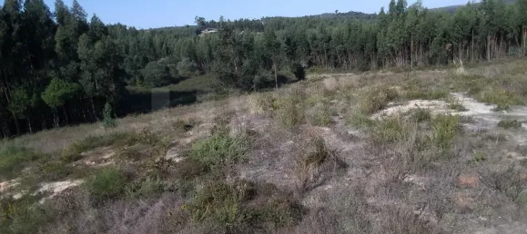 Terrain à Torres Vedras, Portugal No. 68322 2