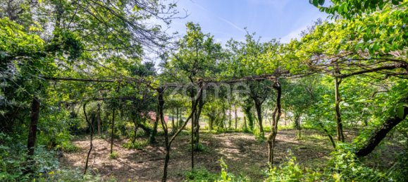 Land in Fafe, Portugal No. 14249 14