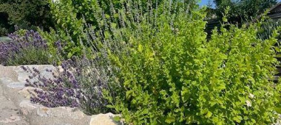 Grundstück in Arnoldstein, Austria 884m², Nr. 141867 3