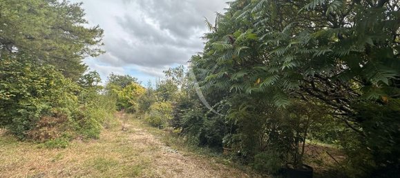 3 chambres Maison à Maves, France No. 255812 14