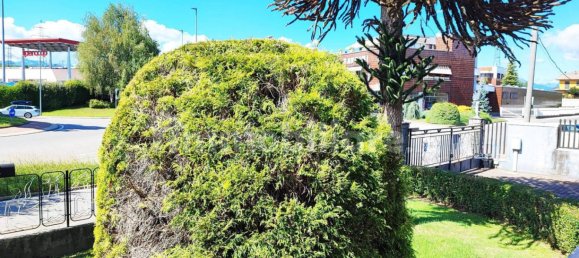 3 bedrooms Villa in Briga Novarese, Italy No. 379874 22