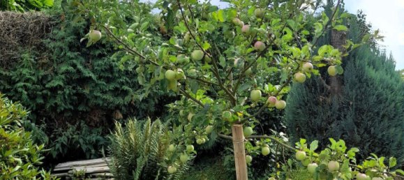 Casa de 5 habitaciónes en Main-Kinzig, Germany No. 237064 9