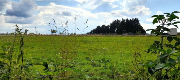 Casa de 5 habitaciónes en Main-Kinzig, Germany No. 237064 8