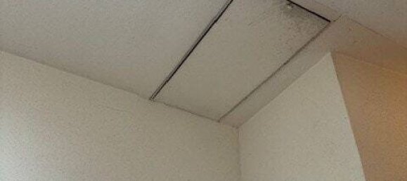 Edificio de 9 habitaciónes en Zwickau, Germany No. 41530 9