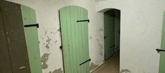 Edificio de 9 habitaciónes en Zwickau, Germany No. 41530 10