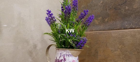 3 Schlafzimmer Haus in Porto, Portugal, Nr. 50032 30