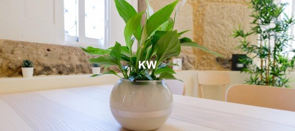 3 Schlafzimmer Haus in Porto, Portugal, Nr. 50032 23