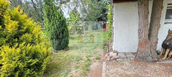 6 rooms Commercial property in Mittelsachsen, Germany No. 357365 7