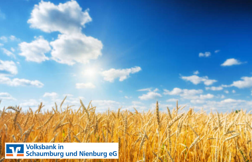 Terrain à Schaumburg, Germany No. 330777