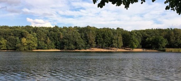 7 rooms House in Mitte, Germany No. 88794 5